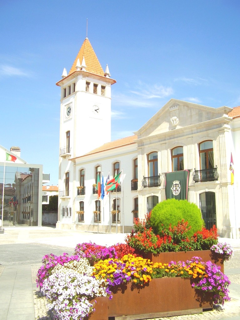 Edifício dos Paços do Concelho (Town Hall)